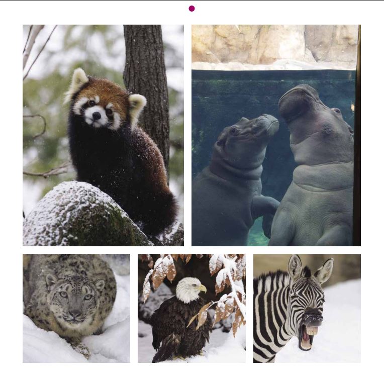 2026 Cincinnati Zoo Calendar