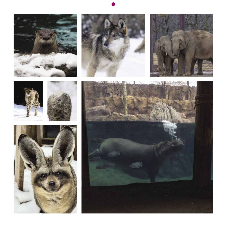 2026 Cincinnati Zoo Calendar