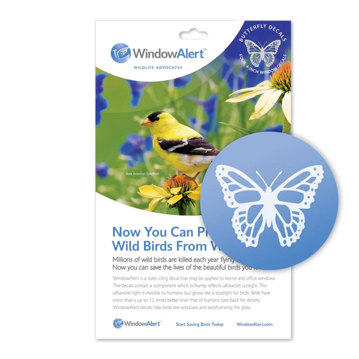 Window Alert Dots Butterfly