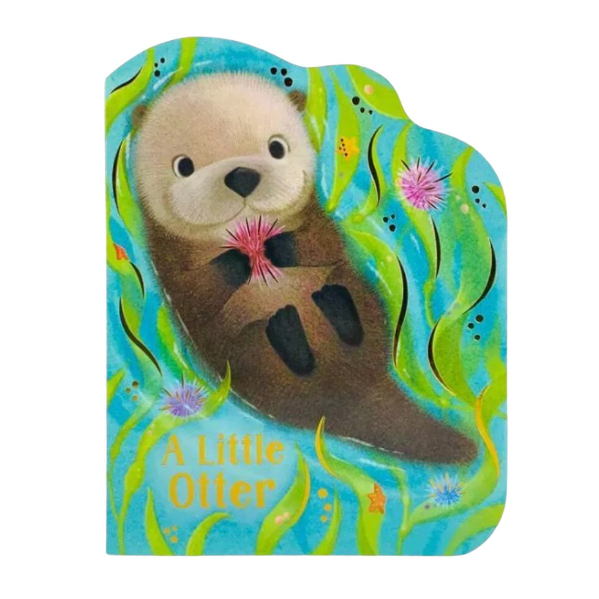 A Little Otter Boardbook