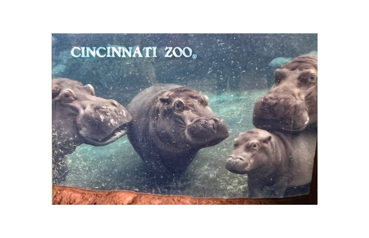 Hippo Bloat Magnet