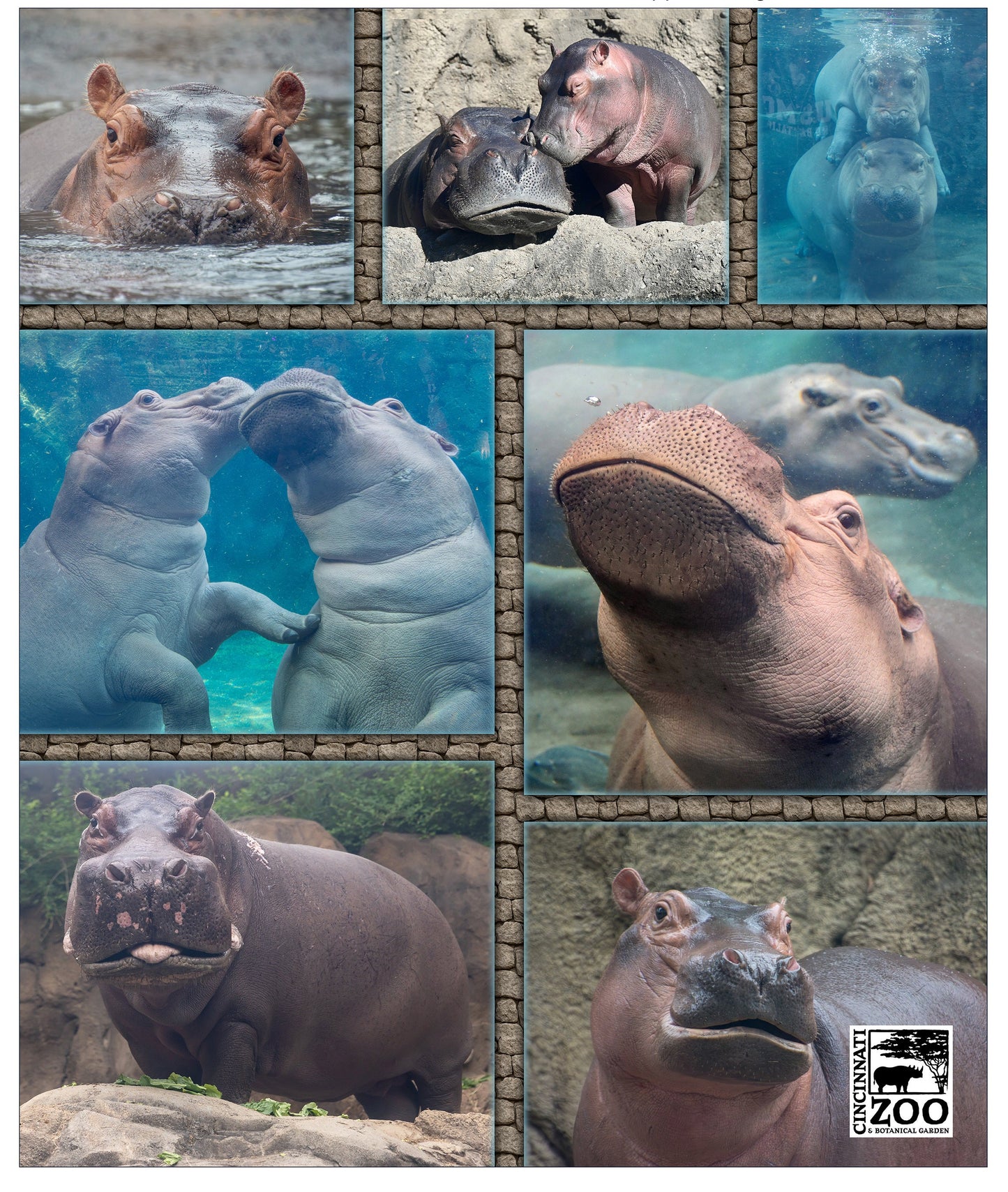 Hippo Collage Blanket
