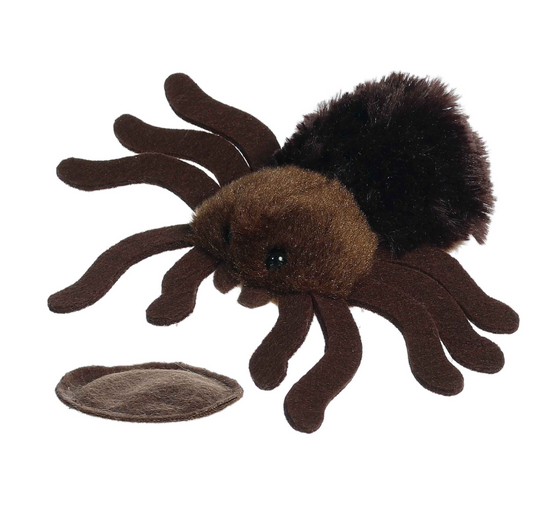 SHOULDER KIN TARANTULA