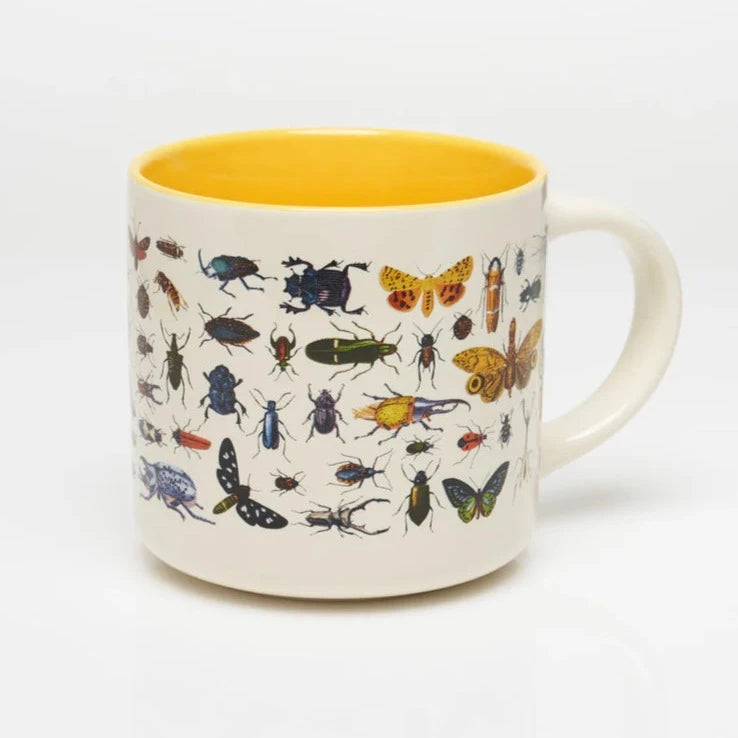 MUG ENTOMOLOGY