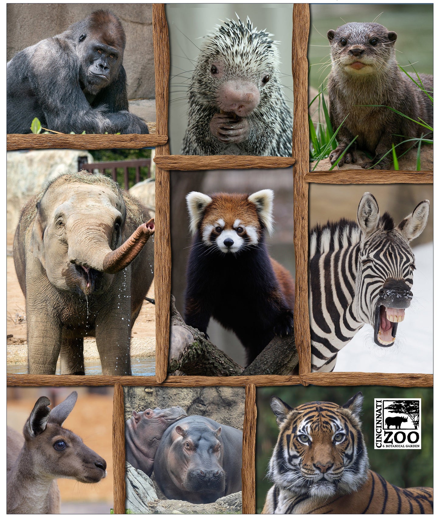 Zoo Collage Blanket
