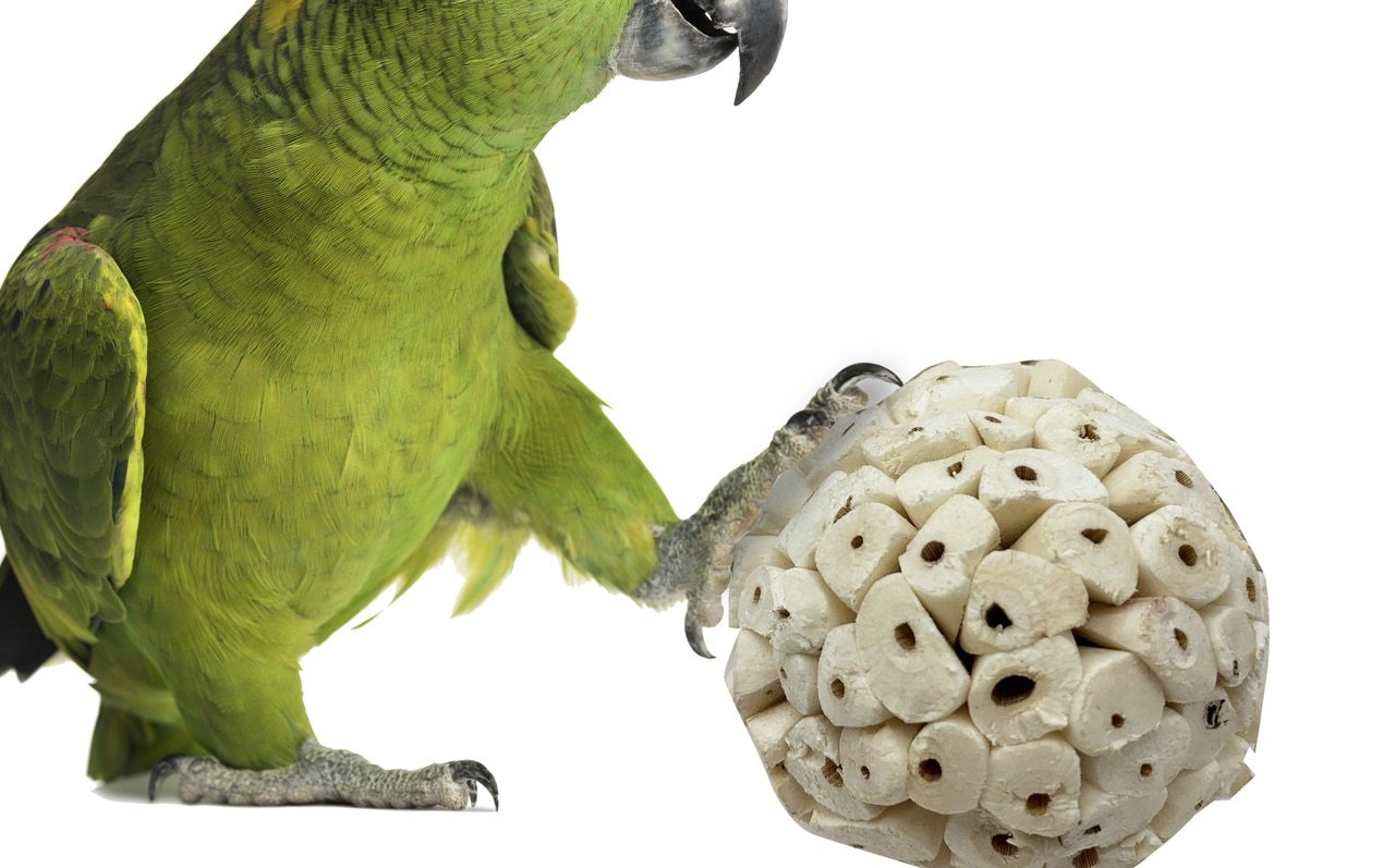 SOLA ATTA BALLS DONATION