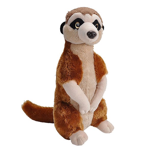 CK MEERKAT 12 IN