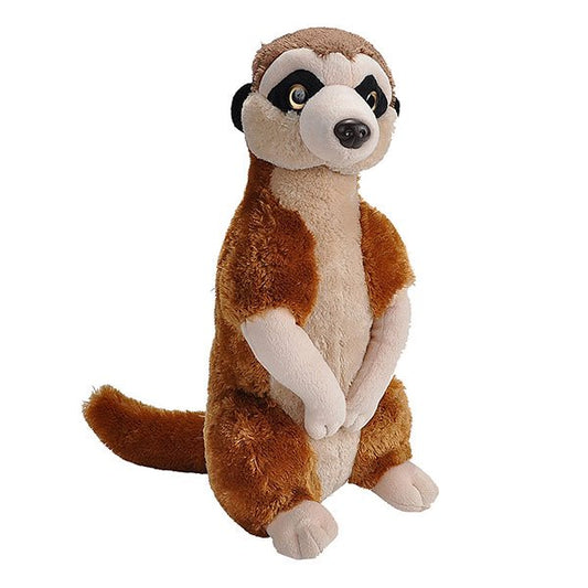 CK MEERKAT 12 IN