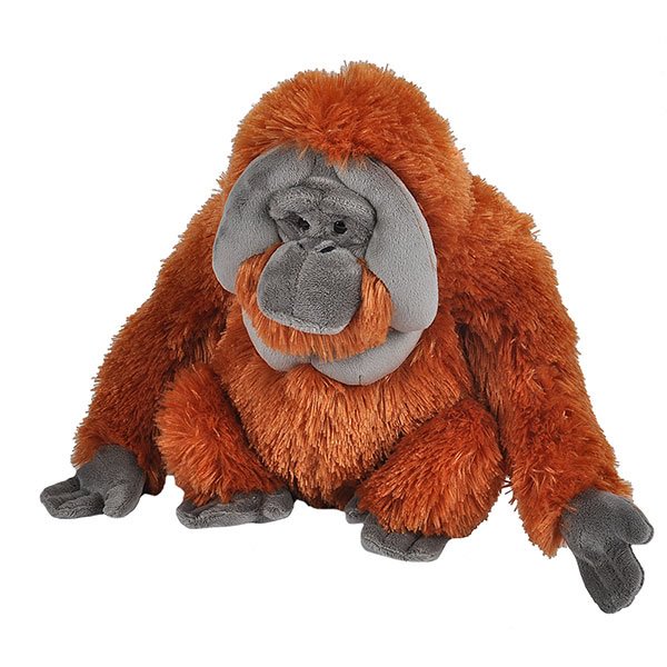 CK ORANGUTAN 12 IN