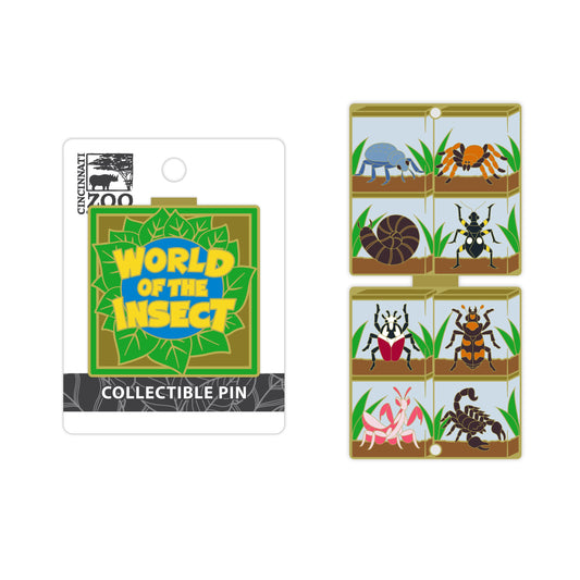 World of the Insect Pin