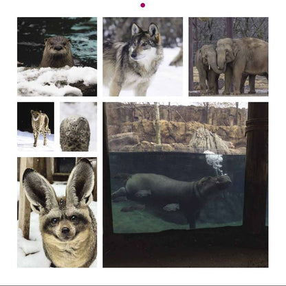 2026 Cincinnati Zoo Calendar