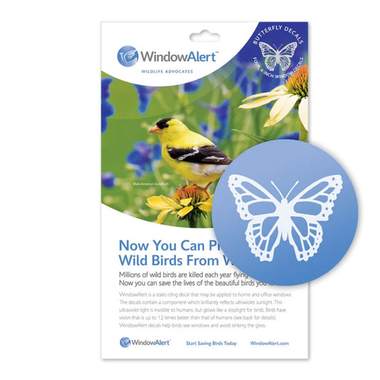 Window Alert Dots Butterfly