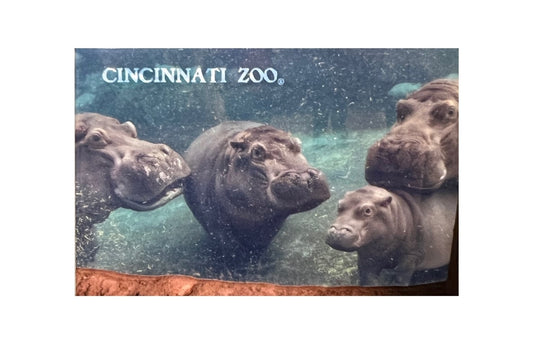 Hippo Bloat Magnet