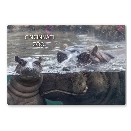 Fritz and Bibi Magnet