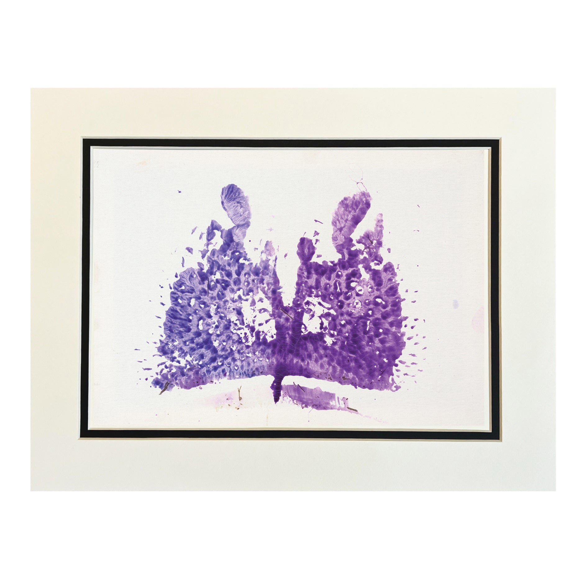 Purple Fiona Kiss Print