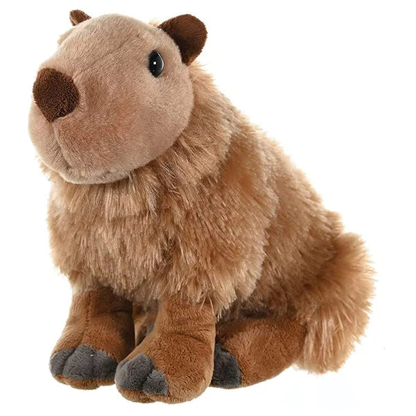 CK CAPYBARA 12"