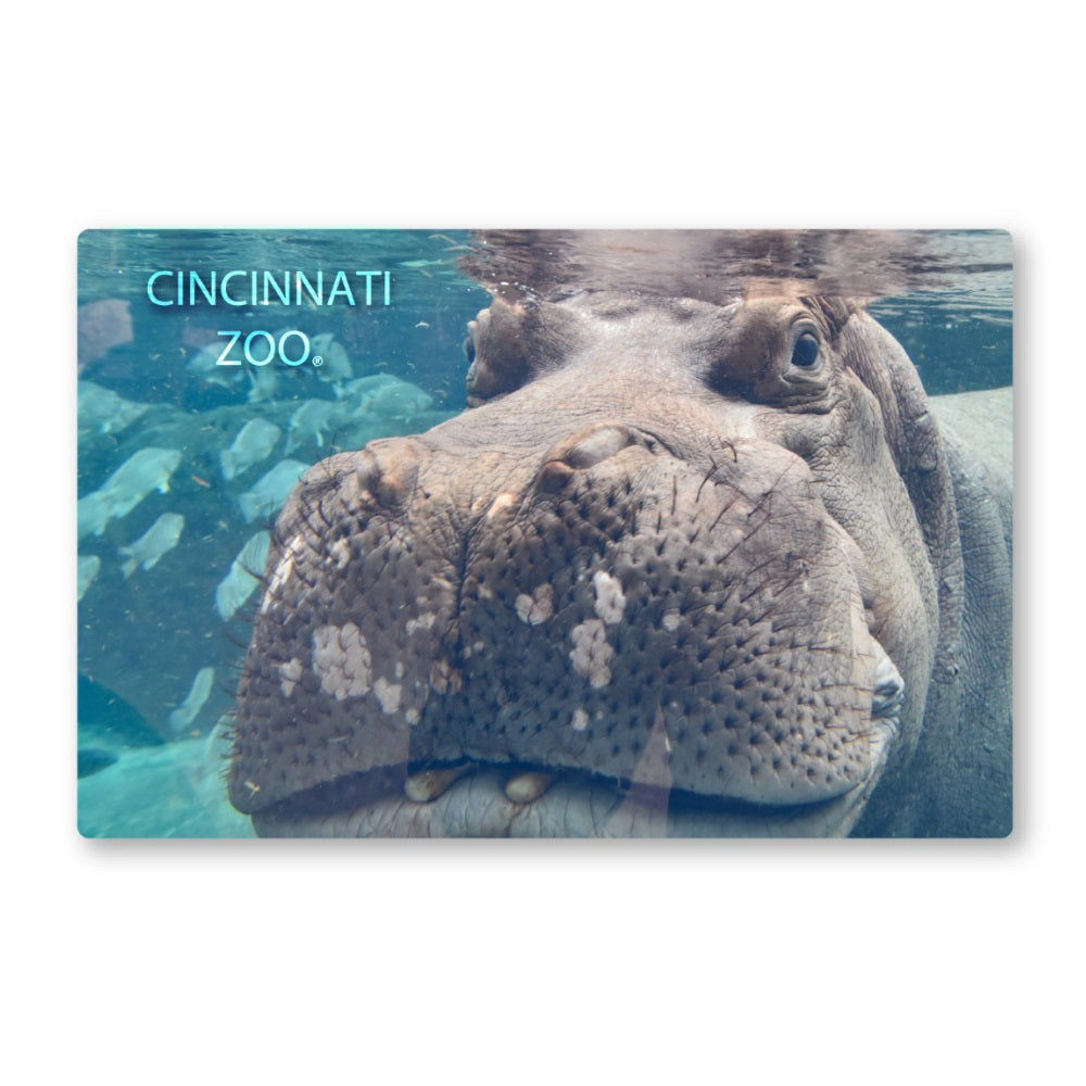 Tucker Close Up Magnet