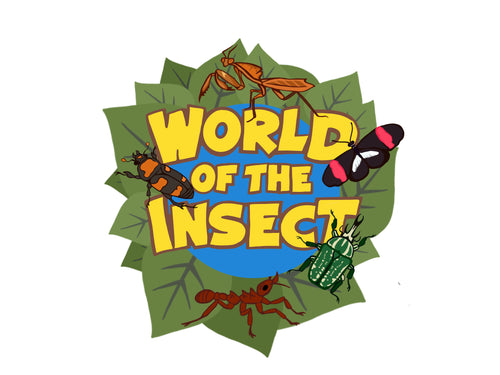 PATCH WORLD OF THE INSECT