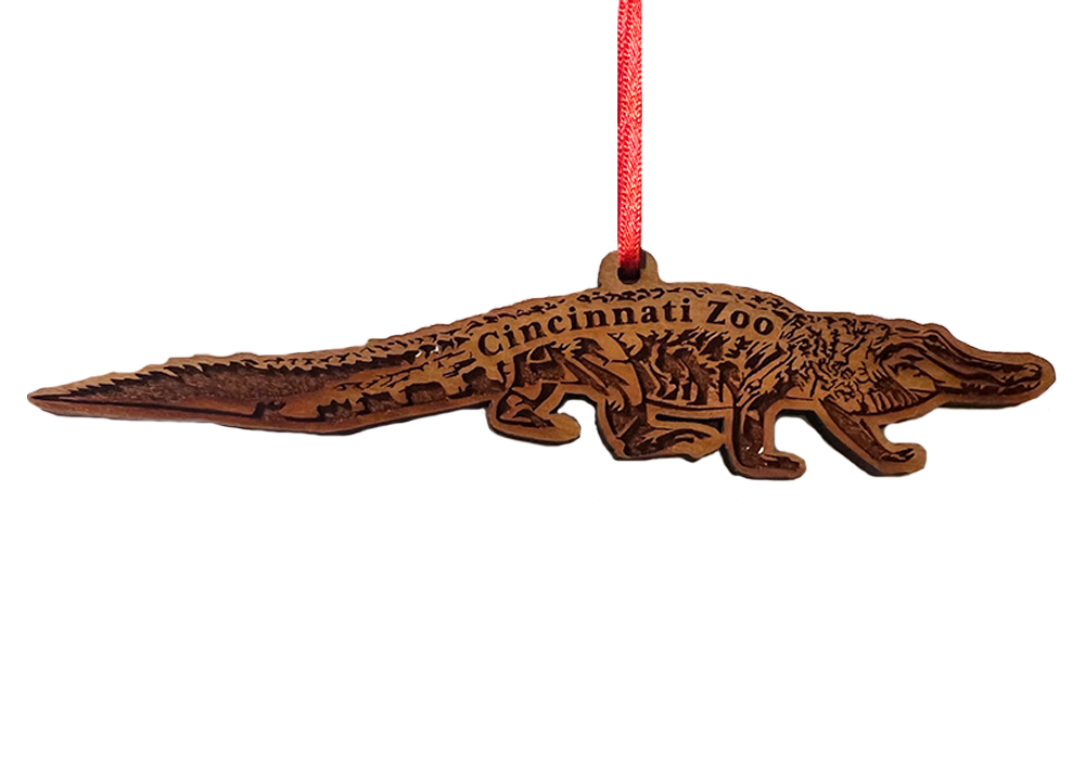 ORNAMENT ALLIGATOR CHERRY