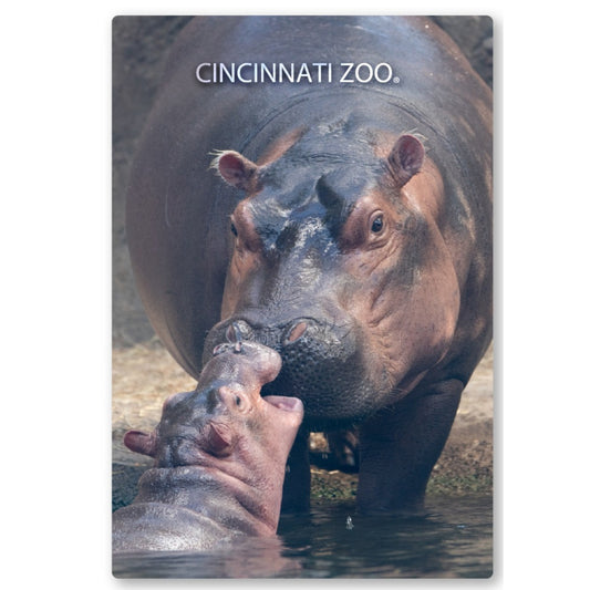 Fiona and Fritz Boop Magnet