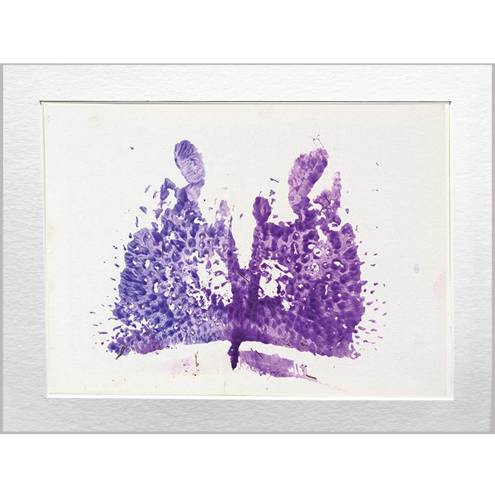 PRINT 11X14 FIONA PURPLE KISS