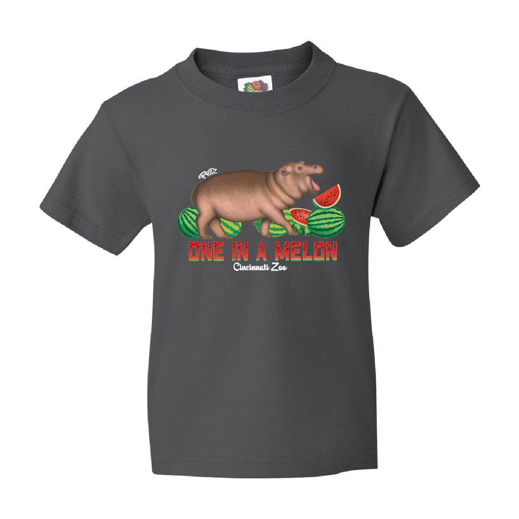 TEE YOUTH MELON FRITZ