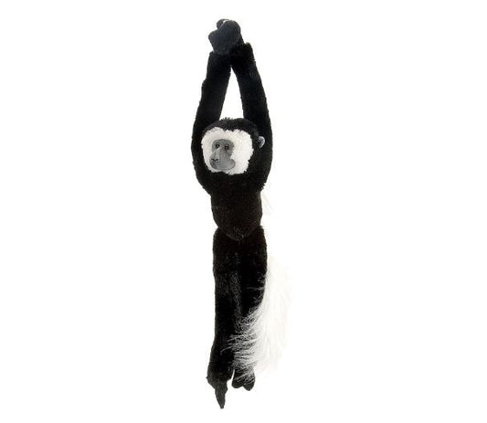 HANGING COLOBUS