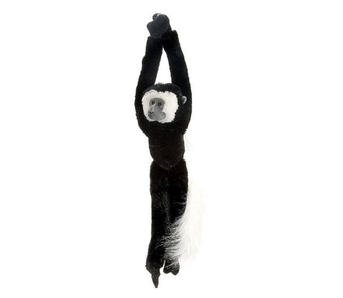 HANGING COLOBUS