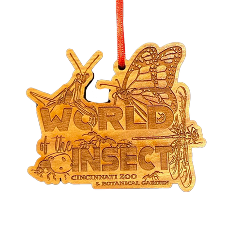 ORNAMENT WOOD WORLD INSECT