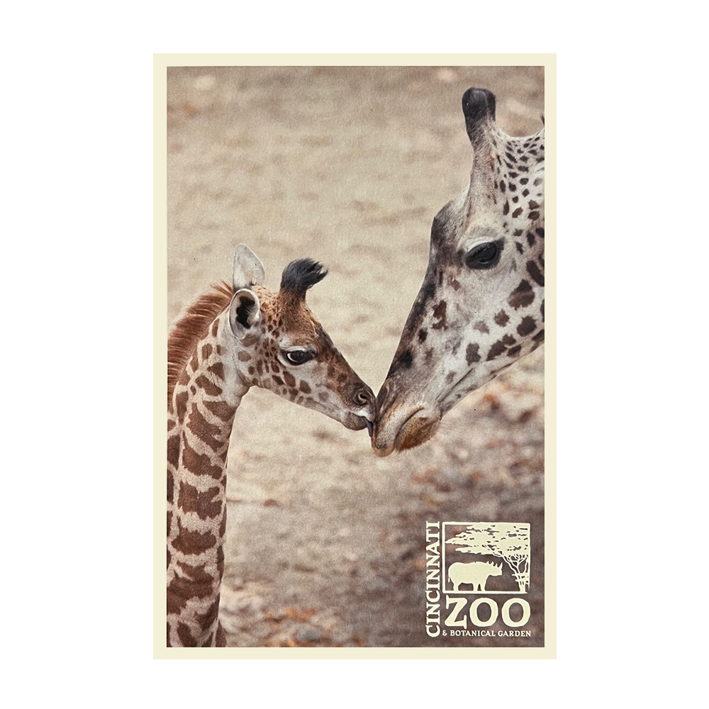 PC GIRAFFE KISS