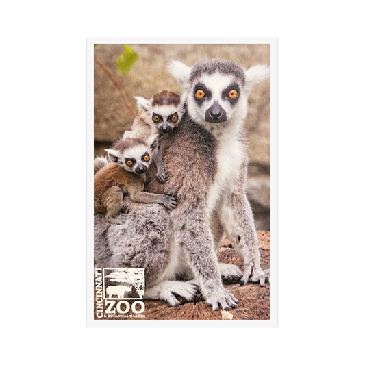 PC Lemur Mom With Twins