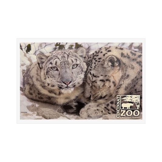 PC Snow Leopard Cuddle