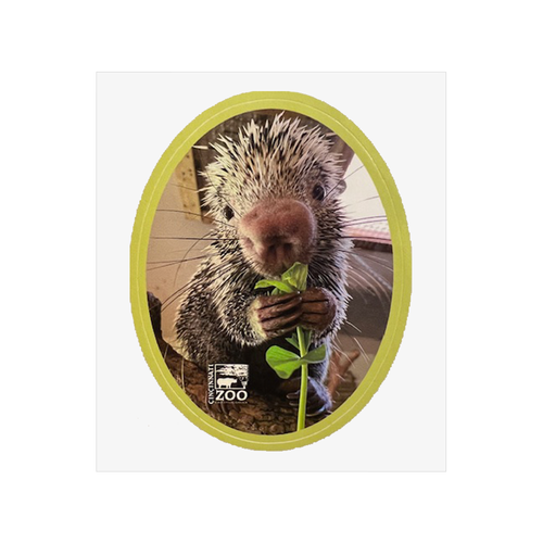 STICKER RICO PORCUPINE