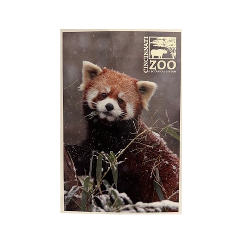 PC RED PANDA IN SNOW