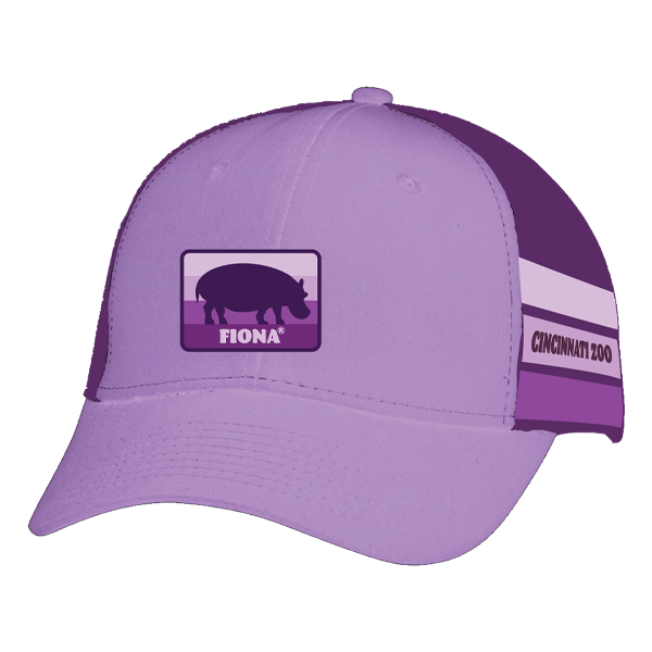 CAP ADULT STRIPE FIONA® PURPLE