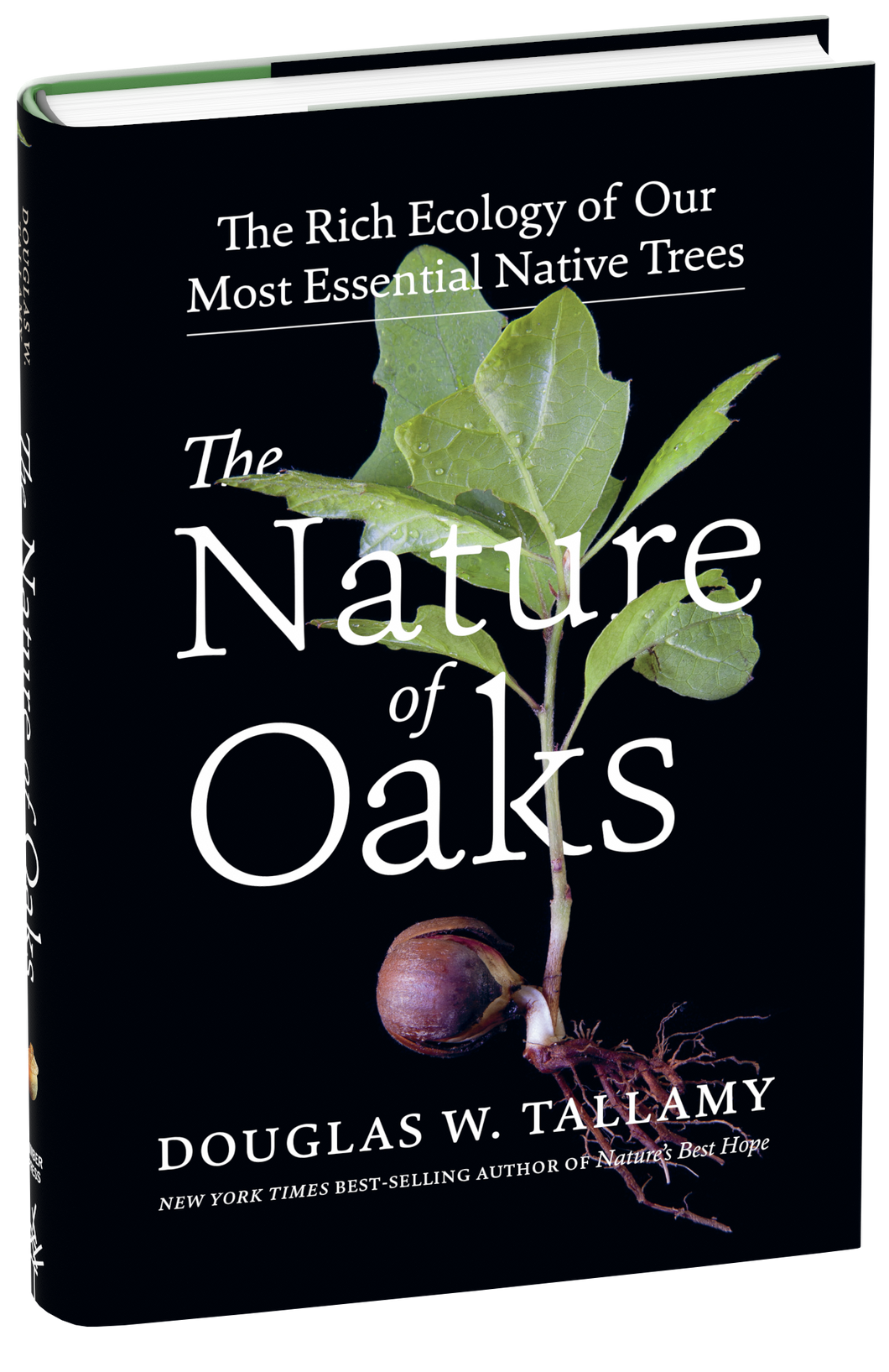 THE NATURE OF OAKS