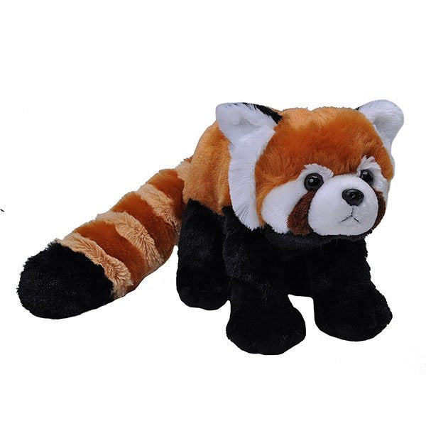 CK RED PANDA 12 IN