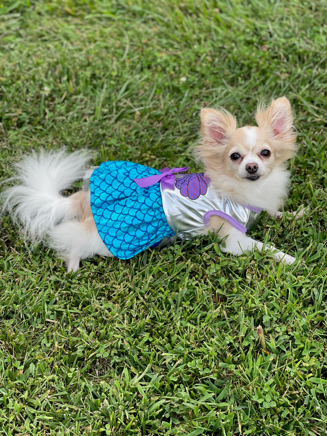 PET COSTUME- MERMAID