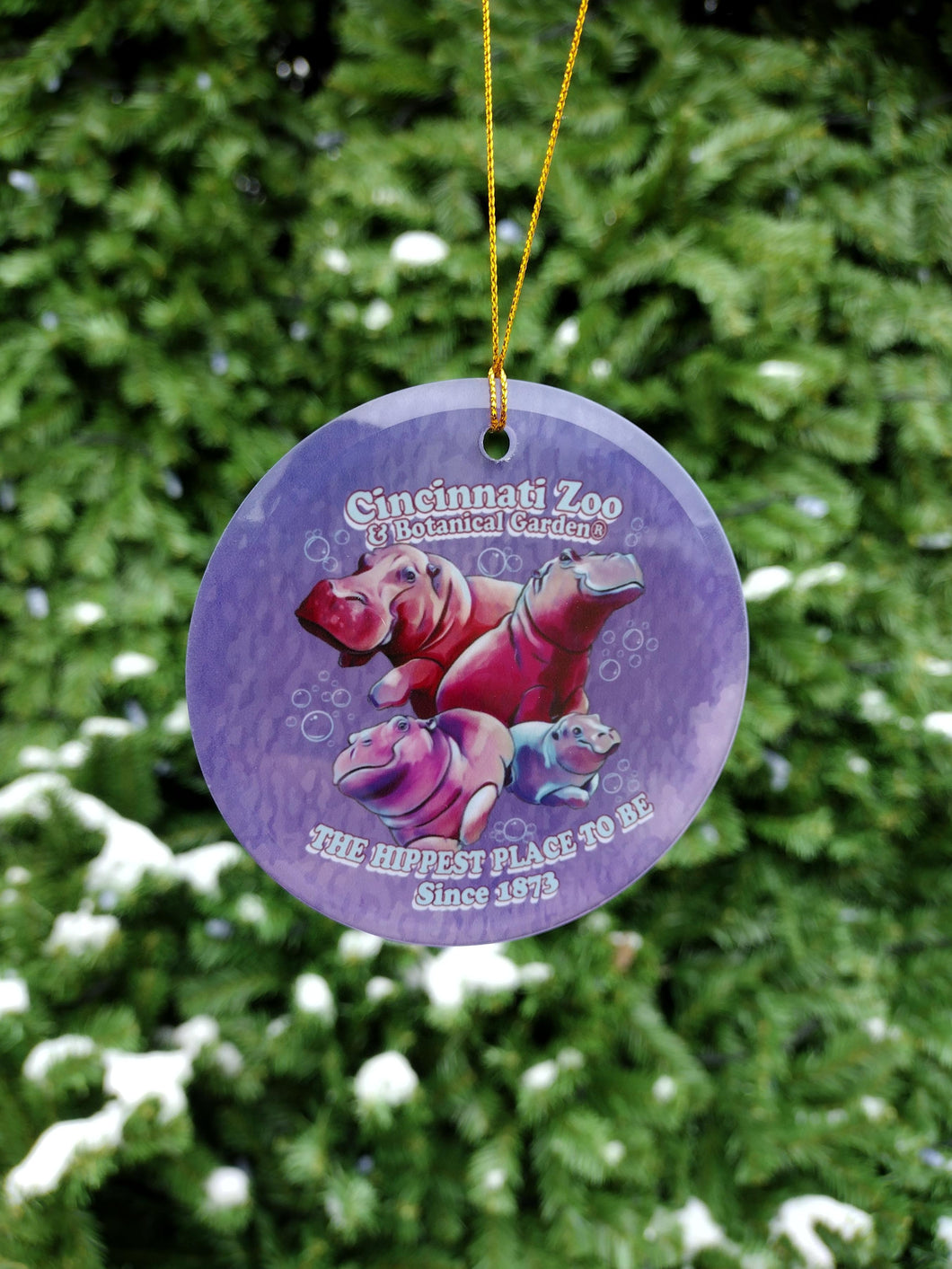 ORNAMENT HIPPEST PLACE
